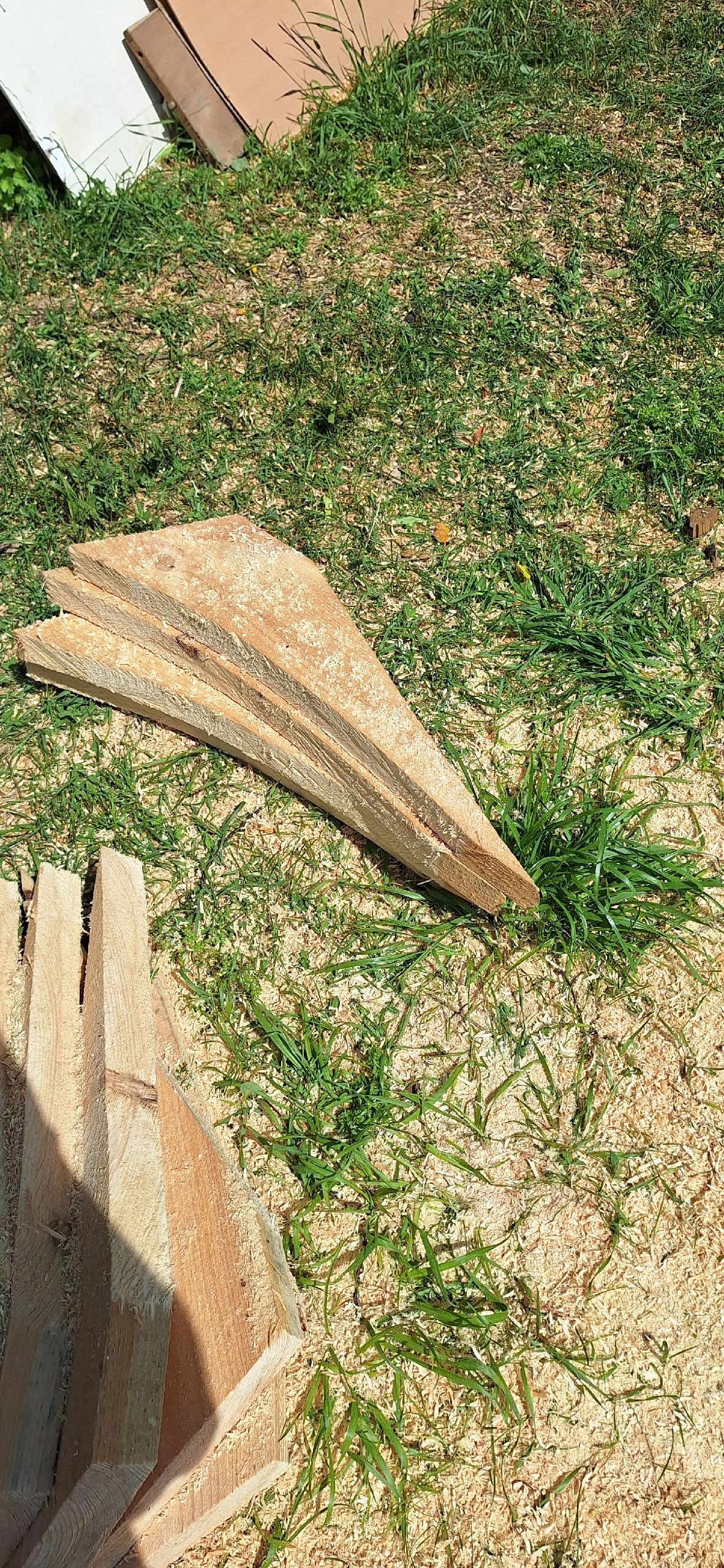 Яковлево. Знаменский храм. (2025-06-21 18:35:02 GMT+03:00)